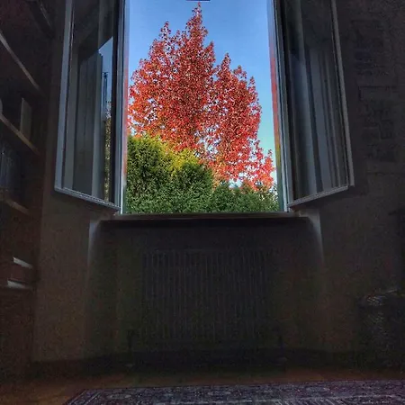 Casa vacanze Miani - Molinis